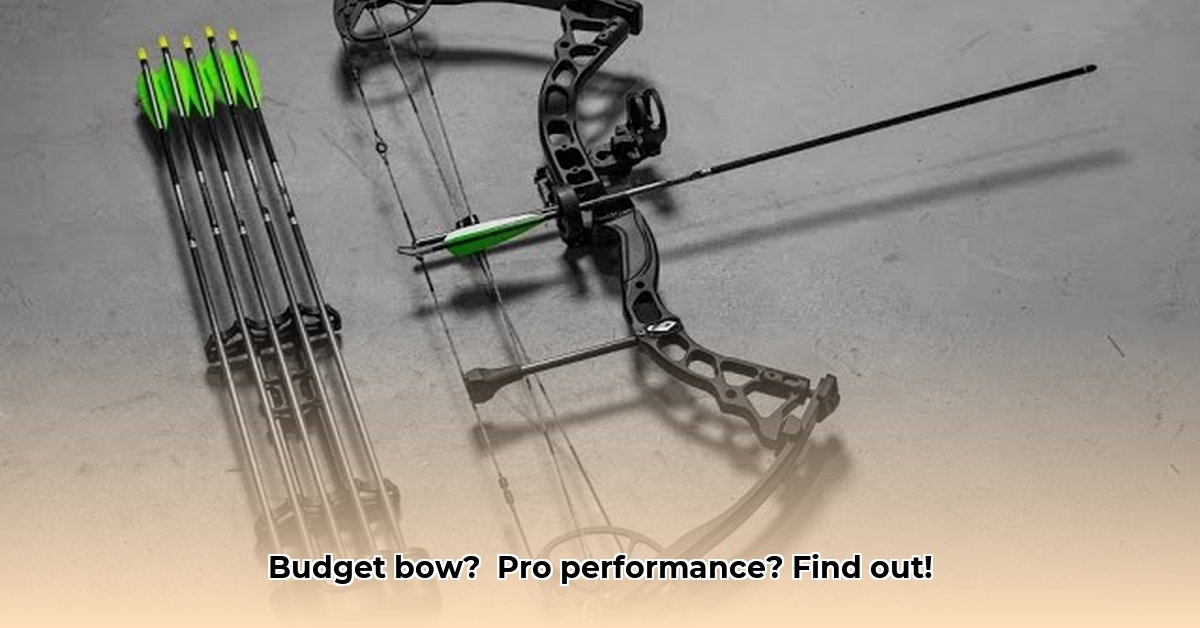 diamond-archery-infinite-edge